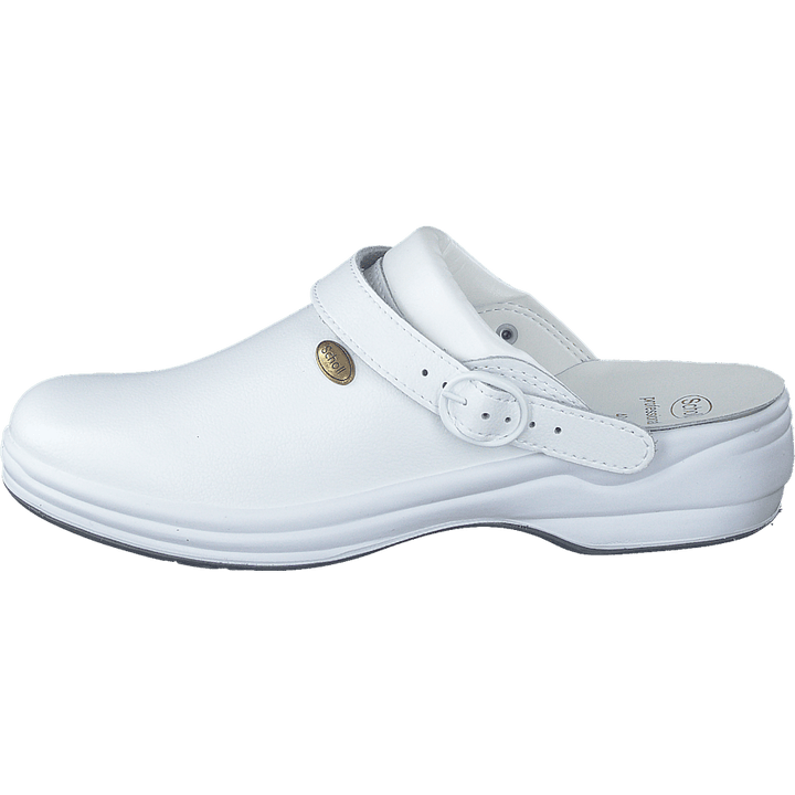 New Bonus White