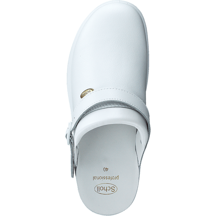 New Bonus White