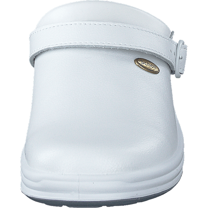 New Bonus White