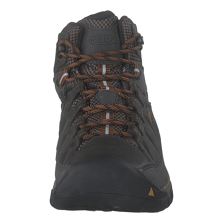 Targhee III Mid Wp Black Olive/golden Brown