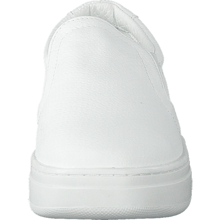 73-42209 White