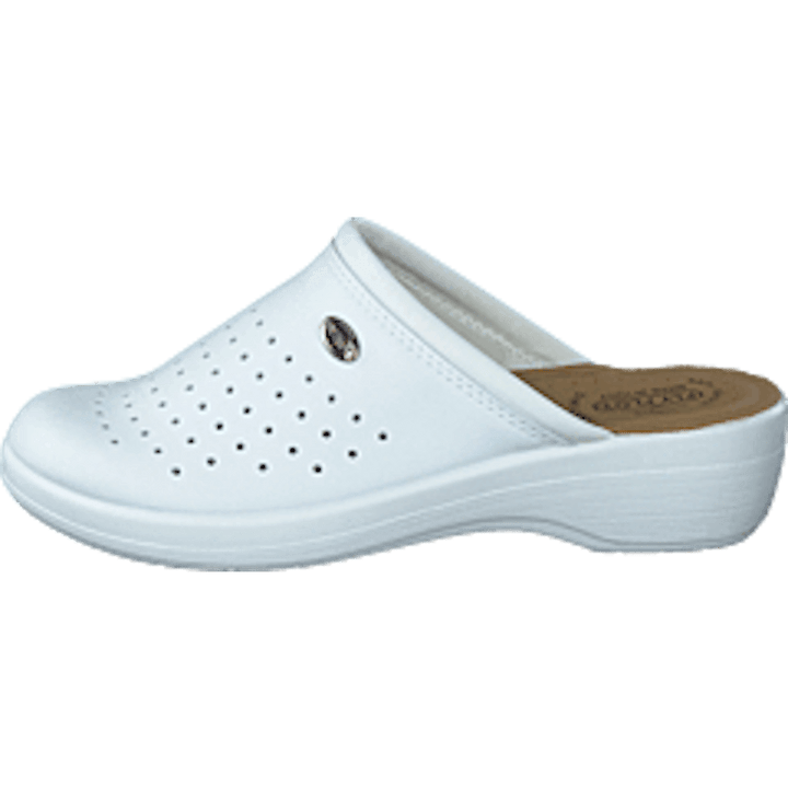 484-0523 White