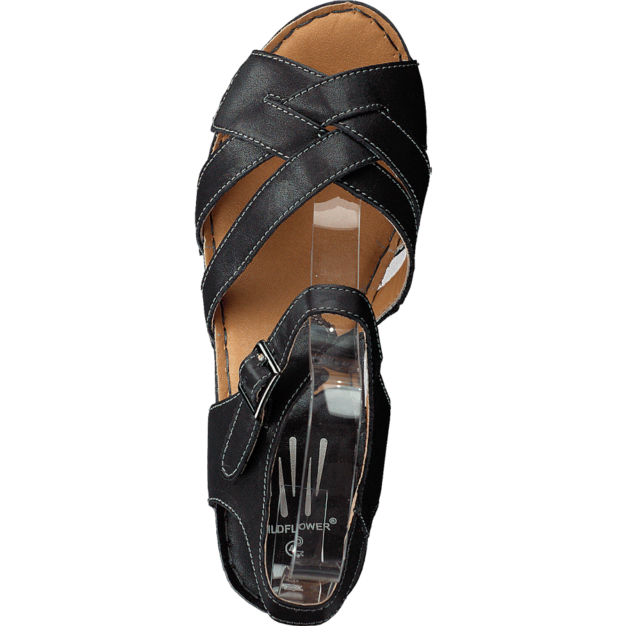 Templer Black