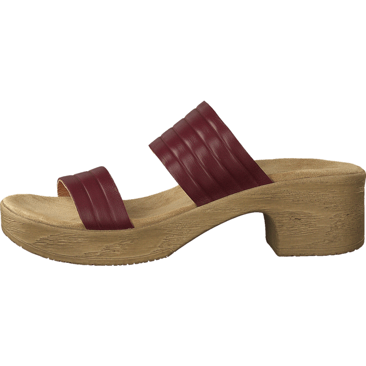 Randi Winered