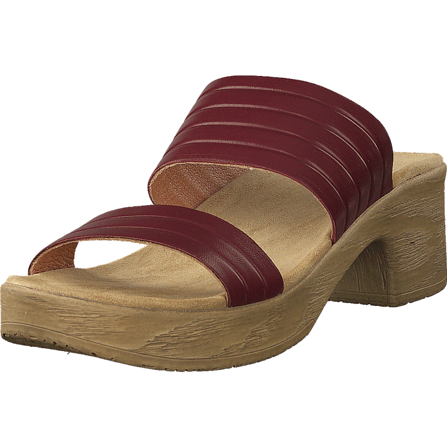 Randi Winered
