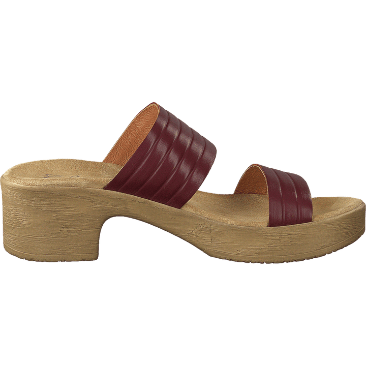 Randi Winered