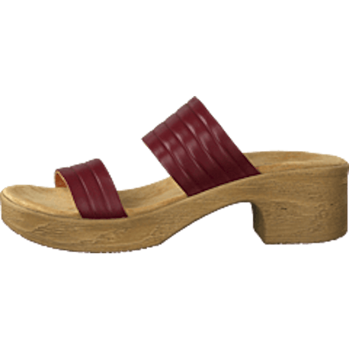 Randi Winered