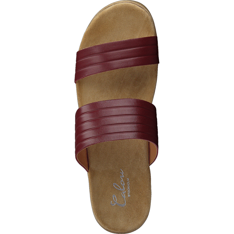 Randi Winered