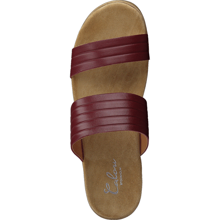 Randi Winered