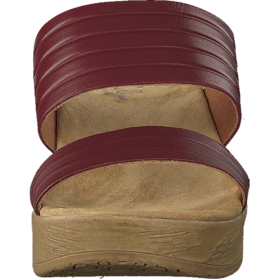 Randi Winered