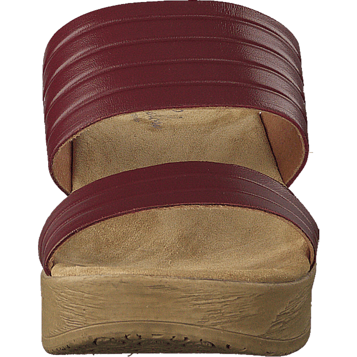 Randi Winered