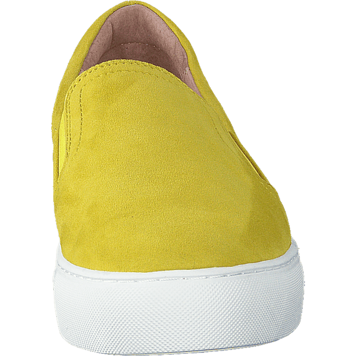 Starlily Yellow