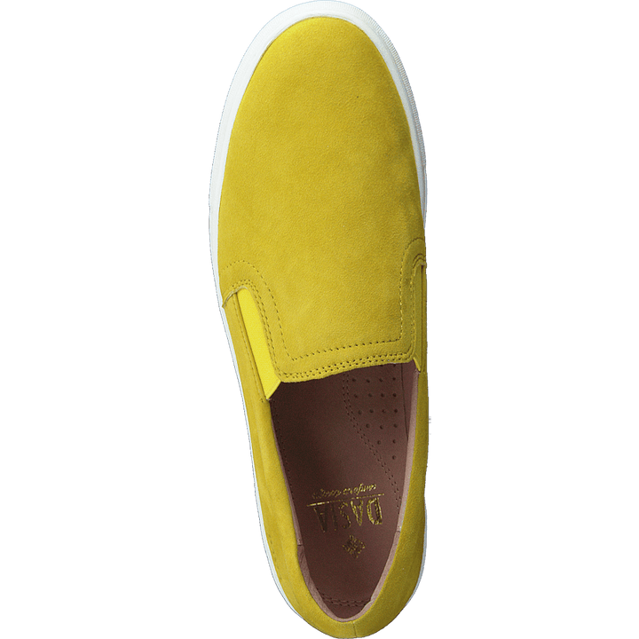 Starlily Yellow