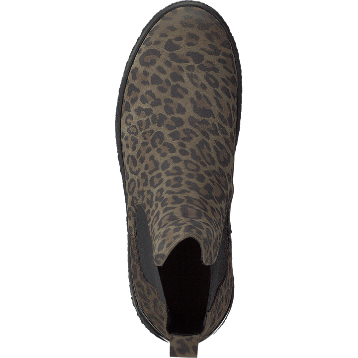 Shallow Olive Leo