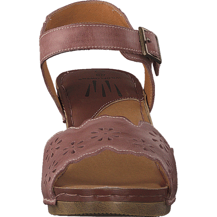 Luciana Pink 16