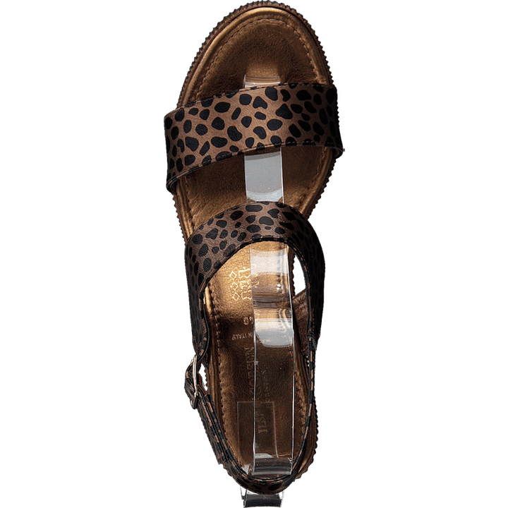 Leoonora5060 Light Chestnut