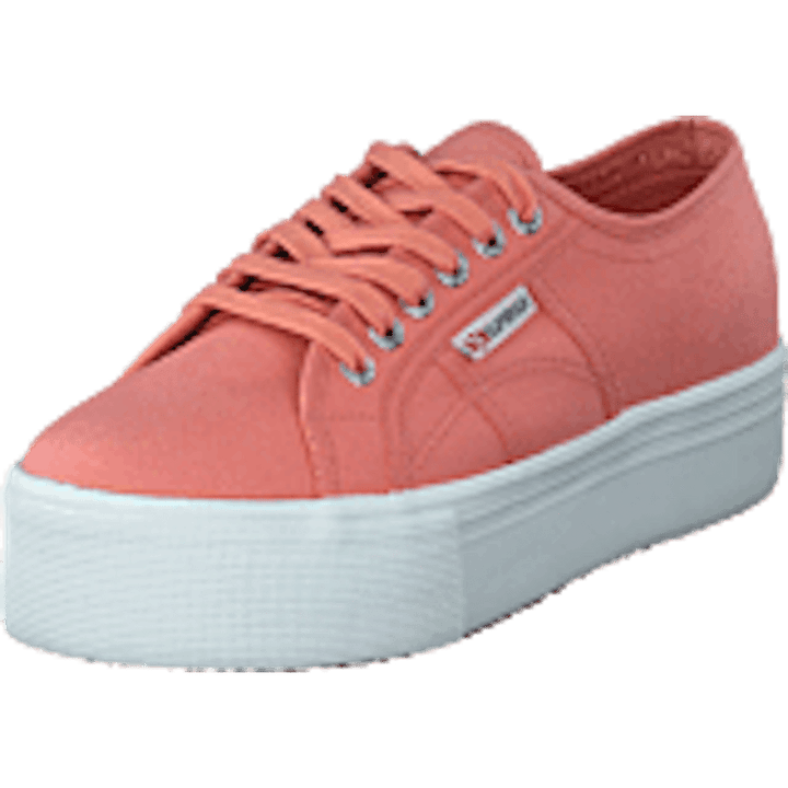 2790 Acotw Linea Rose Lobster