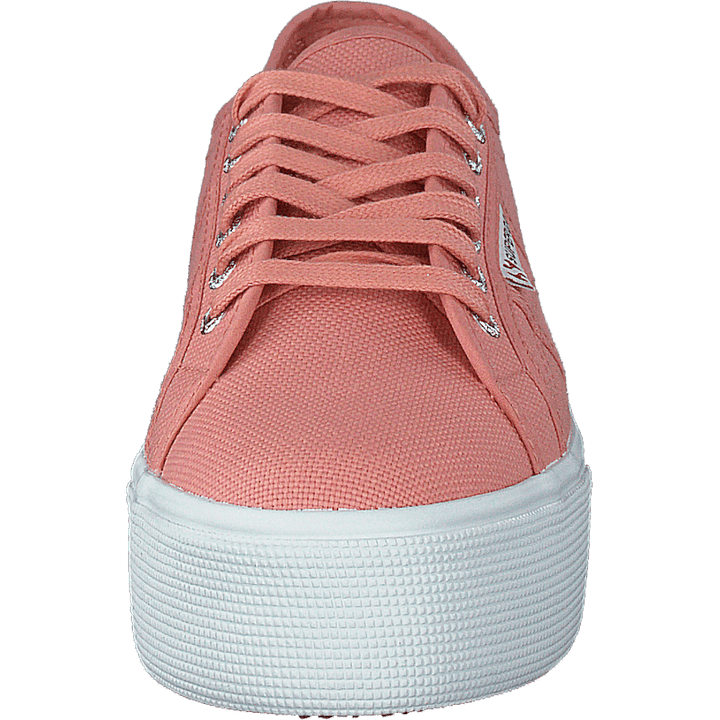 2790 Acotw Linea Rose Lobster