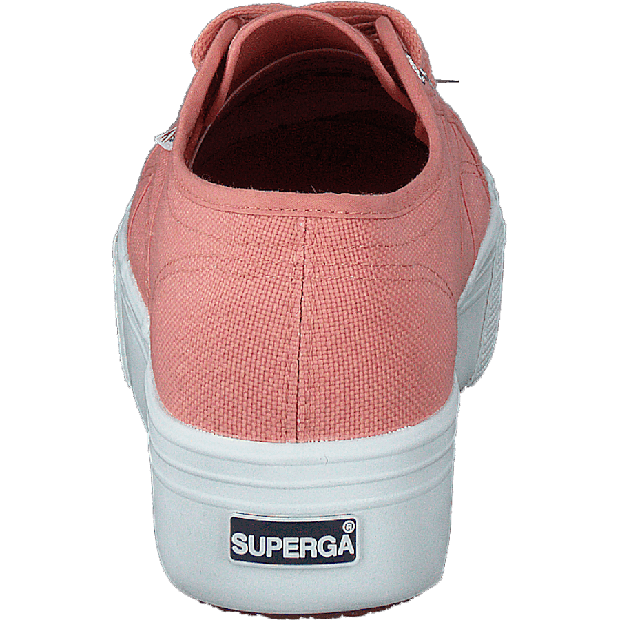 2790 Acotw Linea Rose Lobster