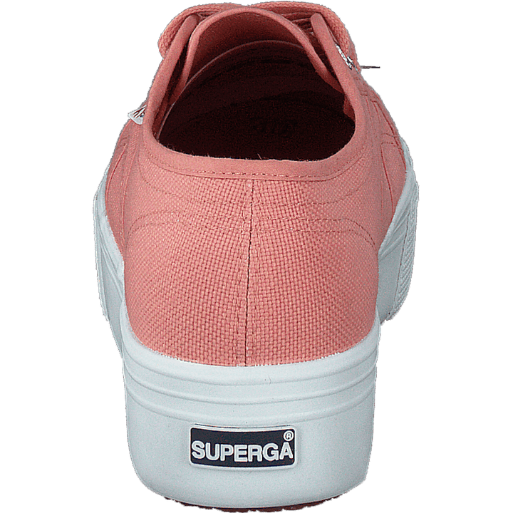 2790 Acotw Linea Rose Lobster
