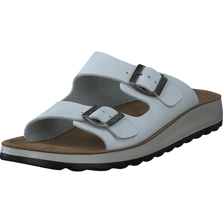 484-7764 White