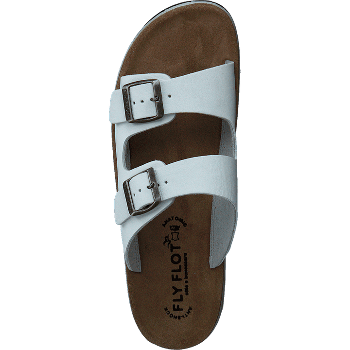 484-7764 White
