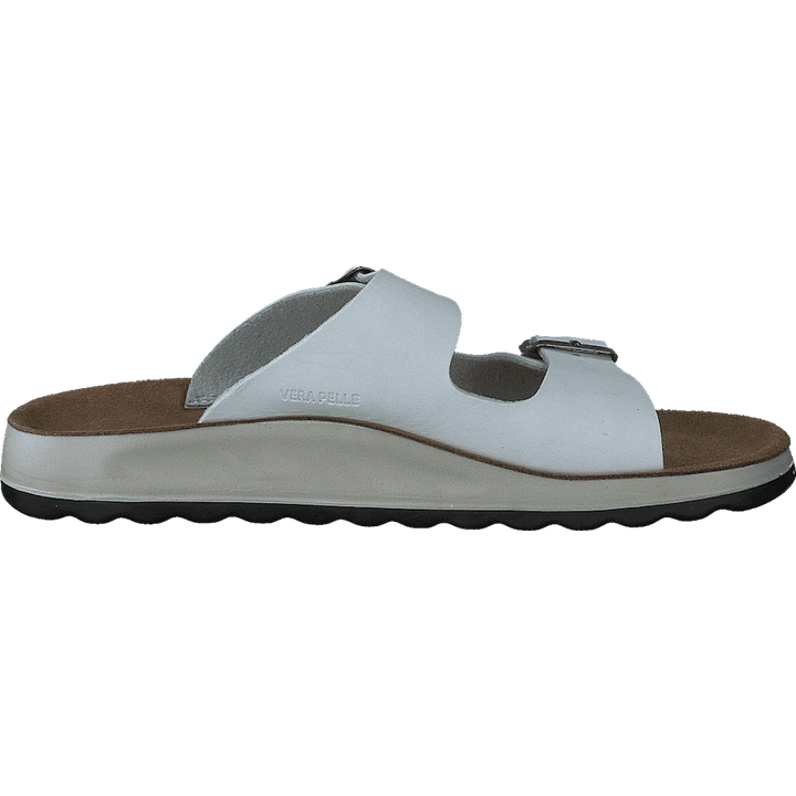 484-7764 White
