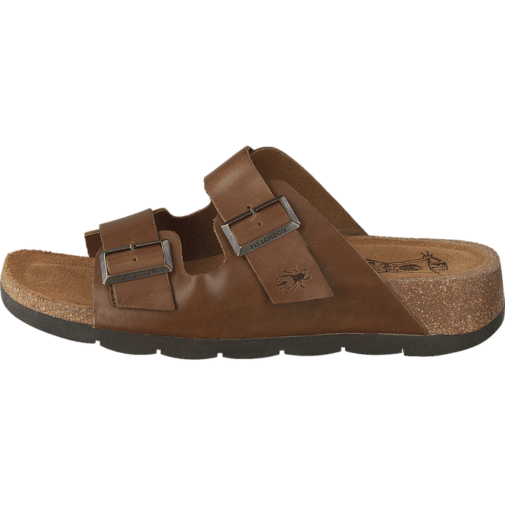 Caja721fly Camel
