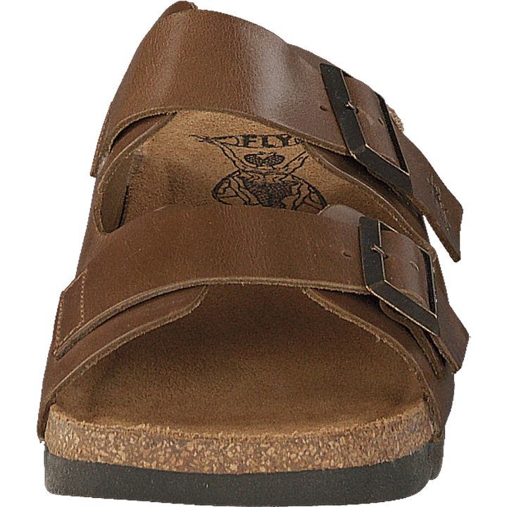 Caja721fly Camel