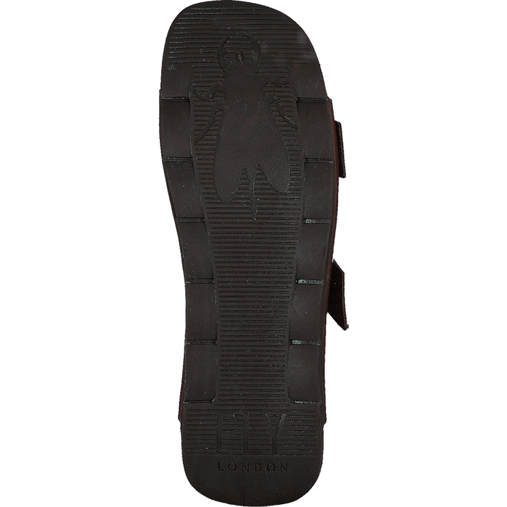 Caja721fly Camel