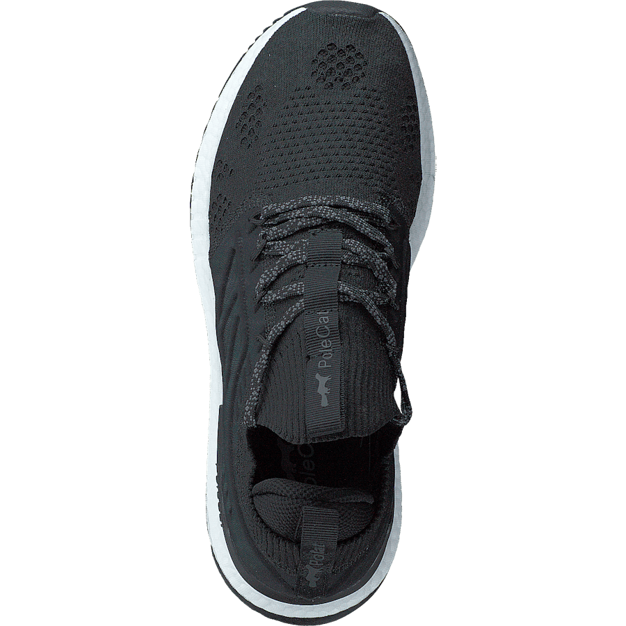 Beta Florida Black