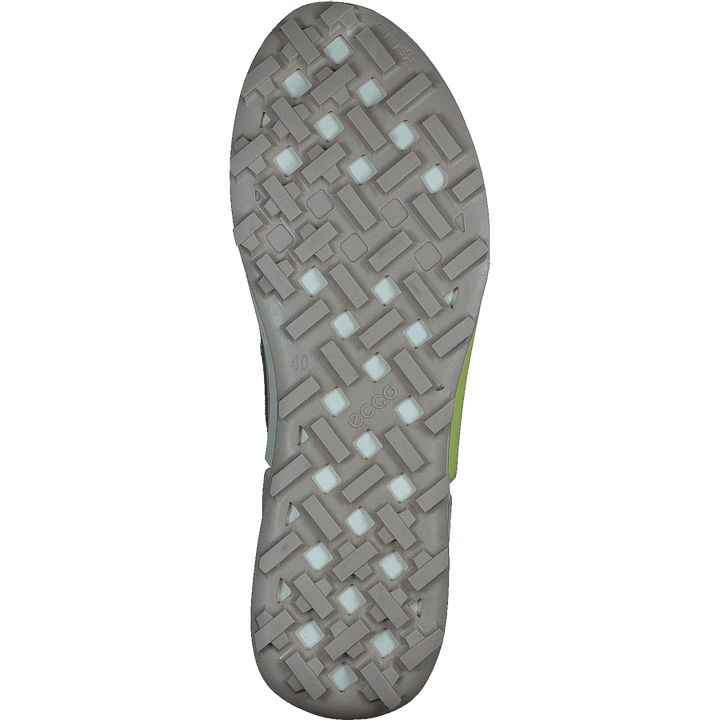 Ecco Biom 2.1 X Country W Morel/tuscany/morel