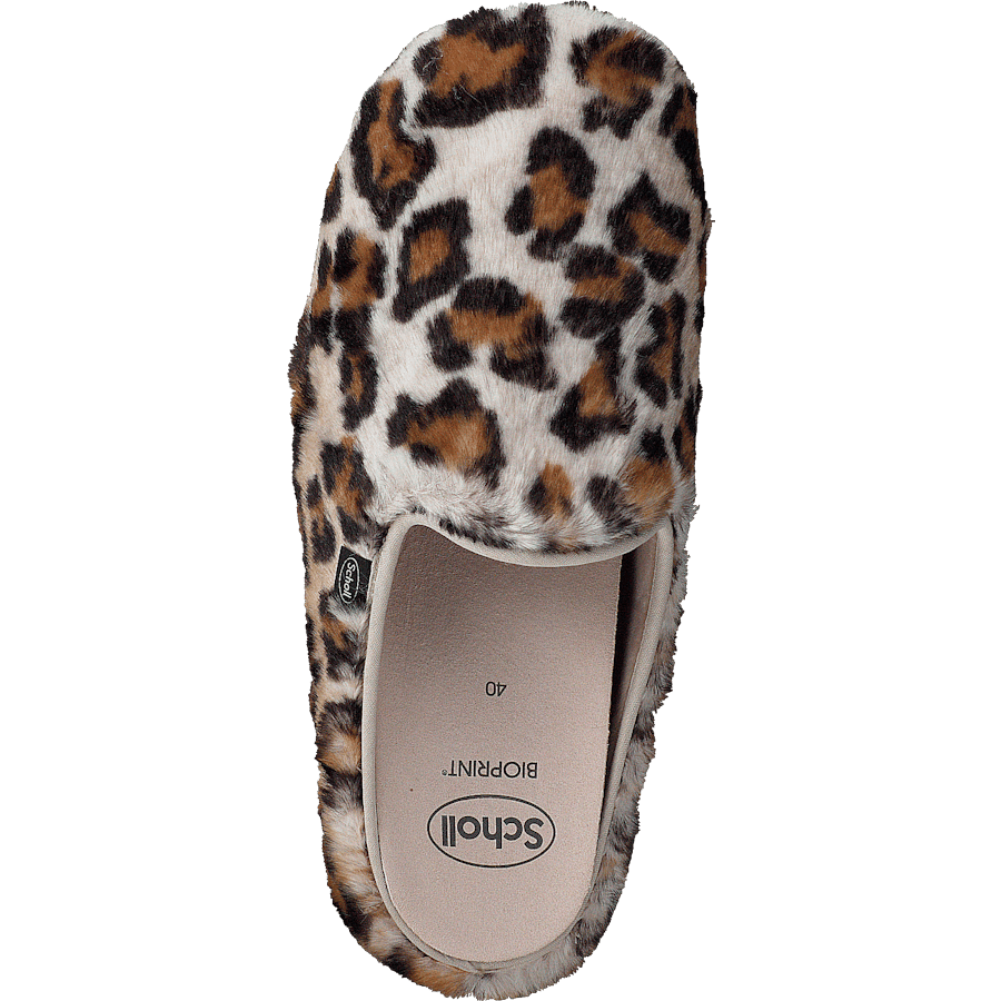 Maddy Leopard