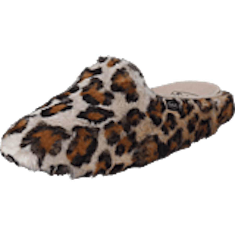 Maddy Leopard
