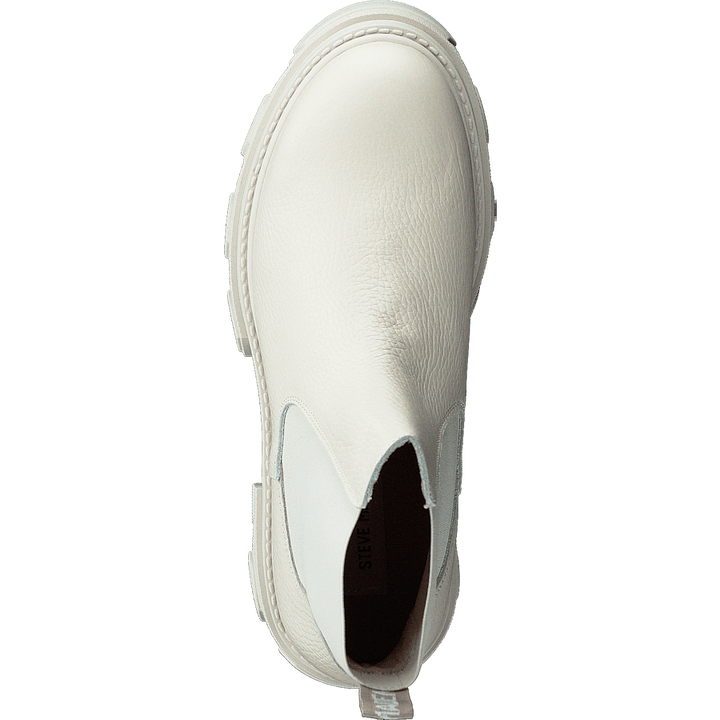 Mixture Bone