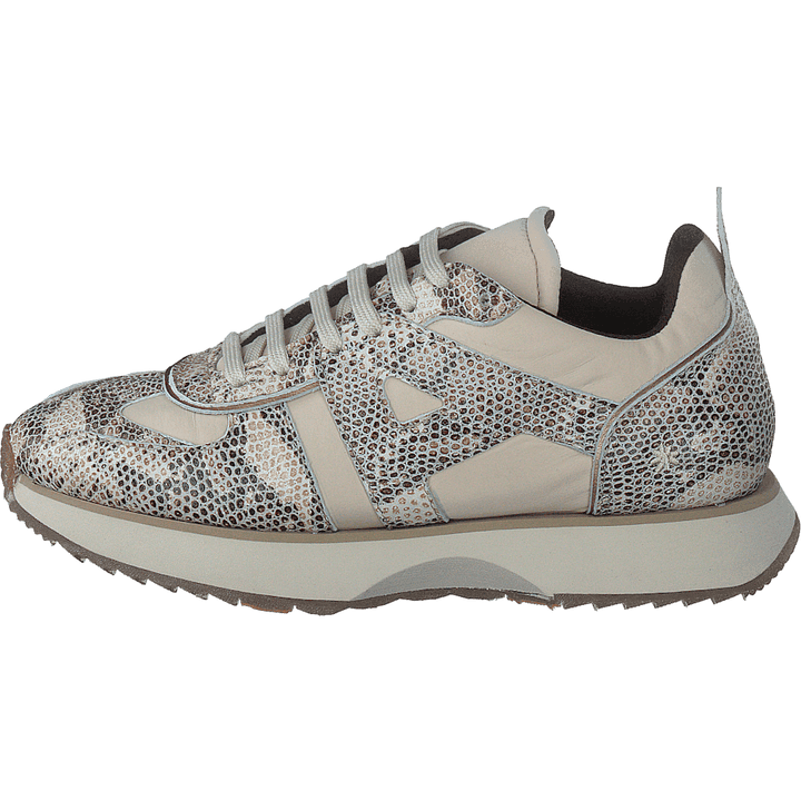 Turin Boa Beig