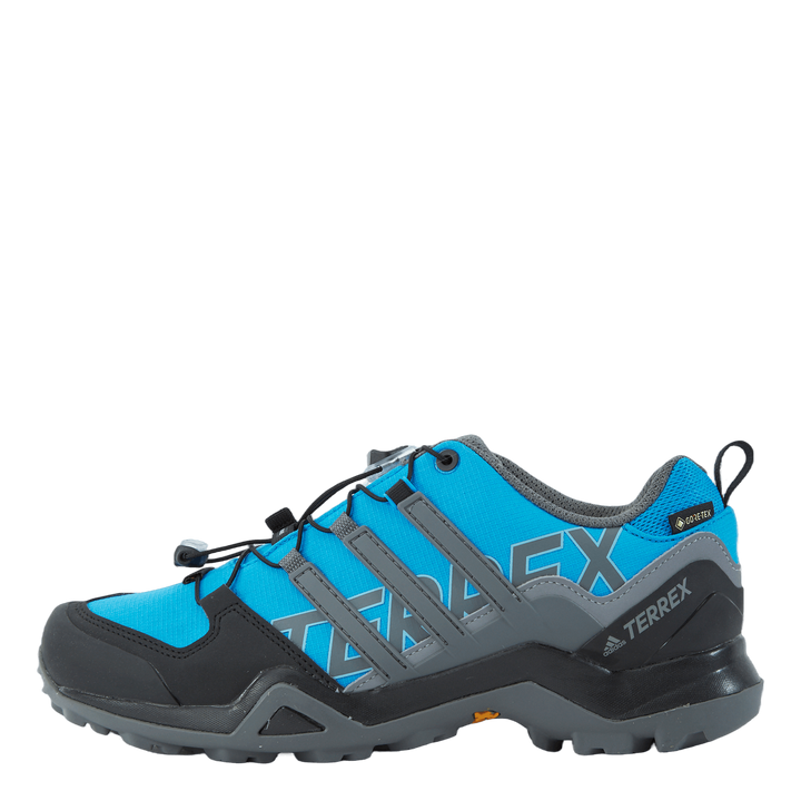 Terrex Swift R2 GTX Shoes Blurus/Grefou/Cblack