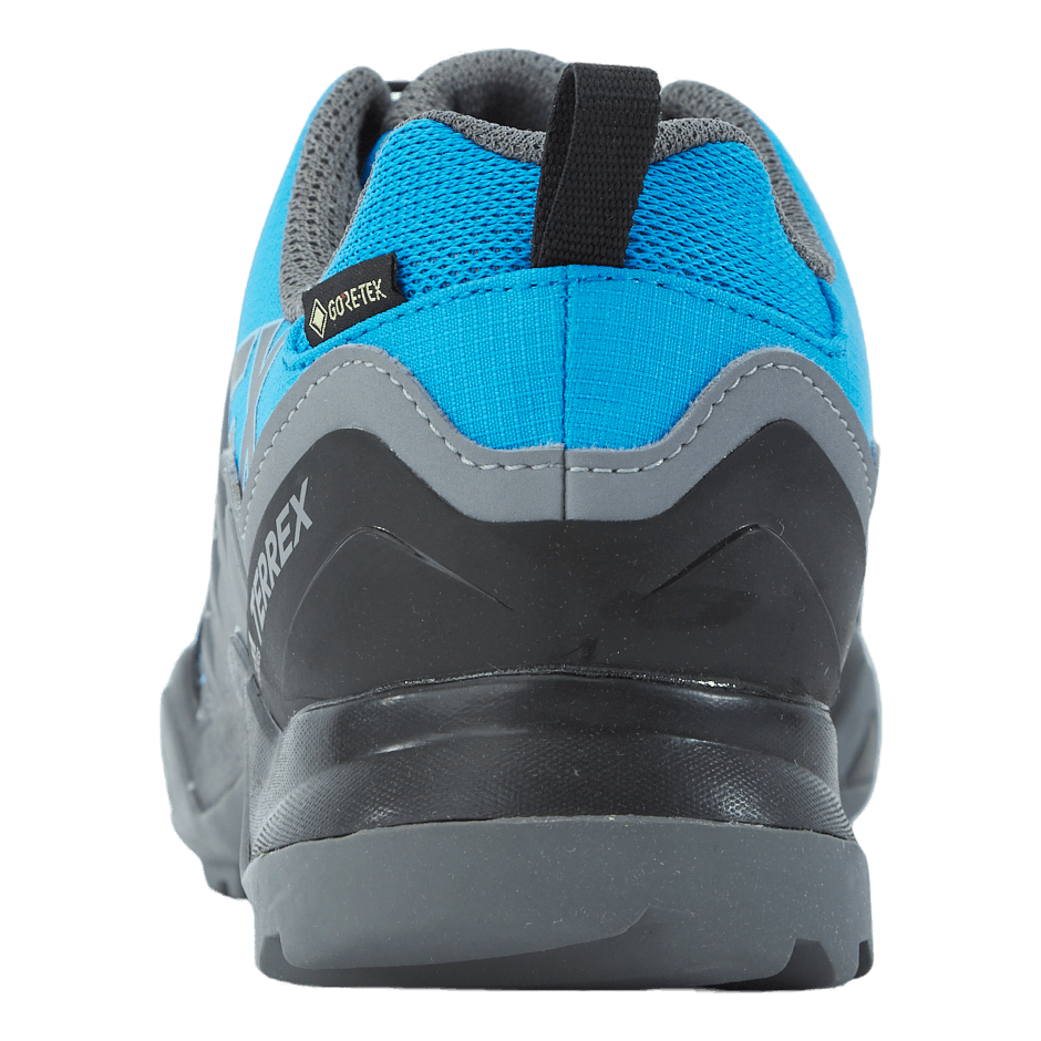 Terrex Swift R2 GTX Shoes Blurus/Grefou/Cblack