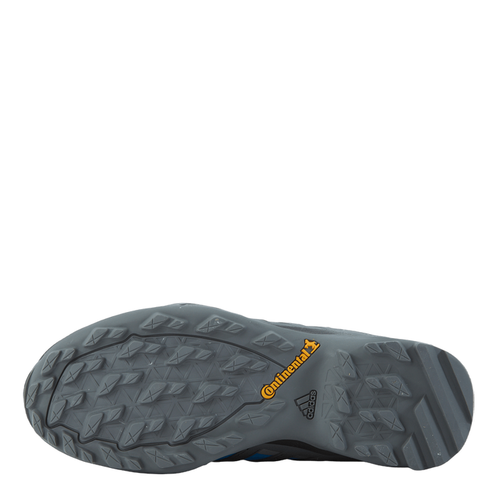 Terrex Swift R2 GTX Shoes Blurus/Grefou/Cblack