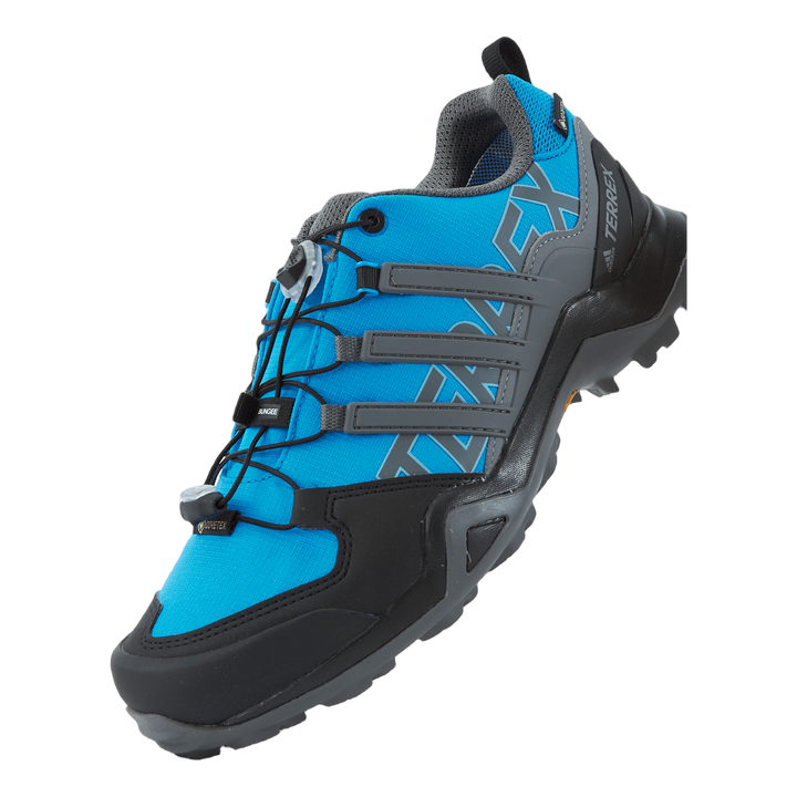 Terrex Swift R2 GTX Shoes Blurus/Grefou/Cblack