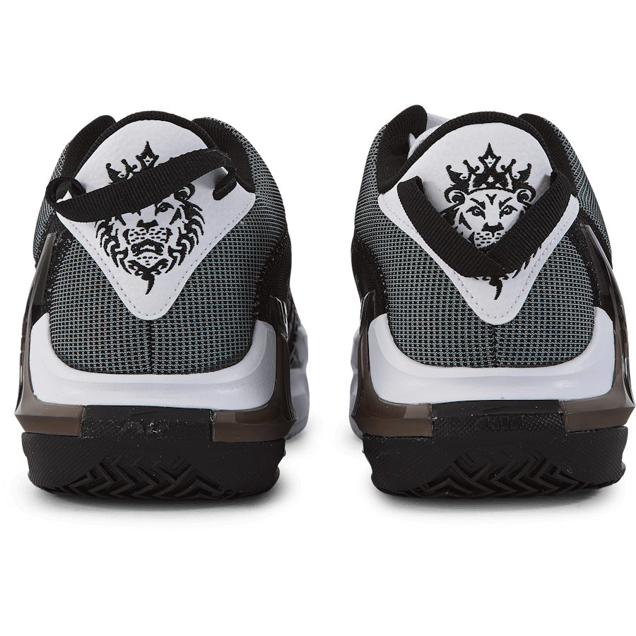 Lebron Witness VII