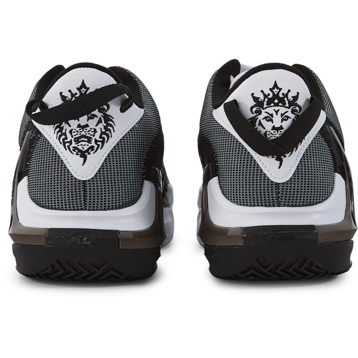 Lebron Witness VII