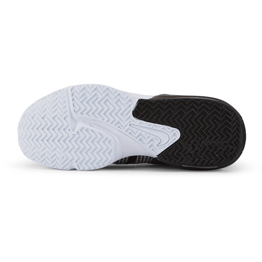 Lebron Witness VII
