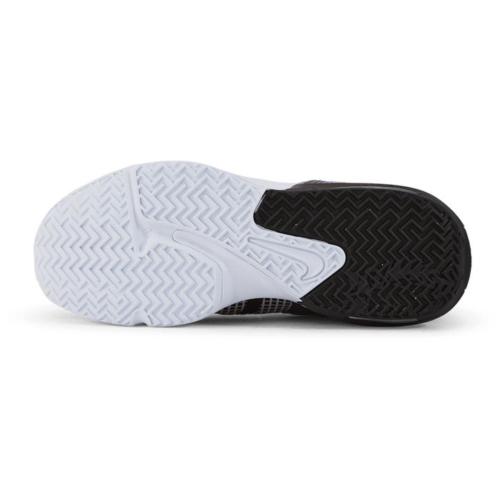 Lebron Witness VII