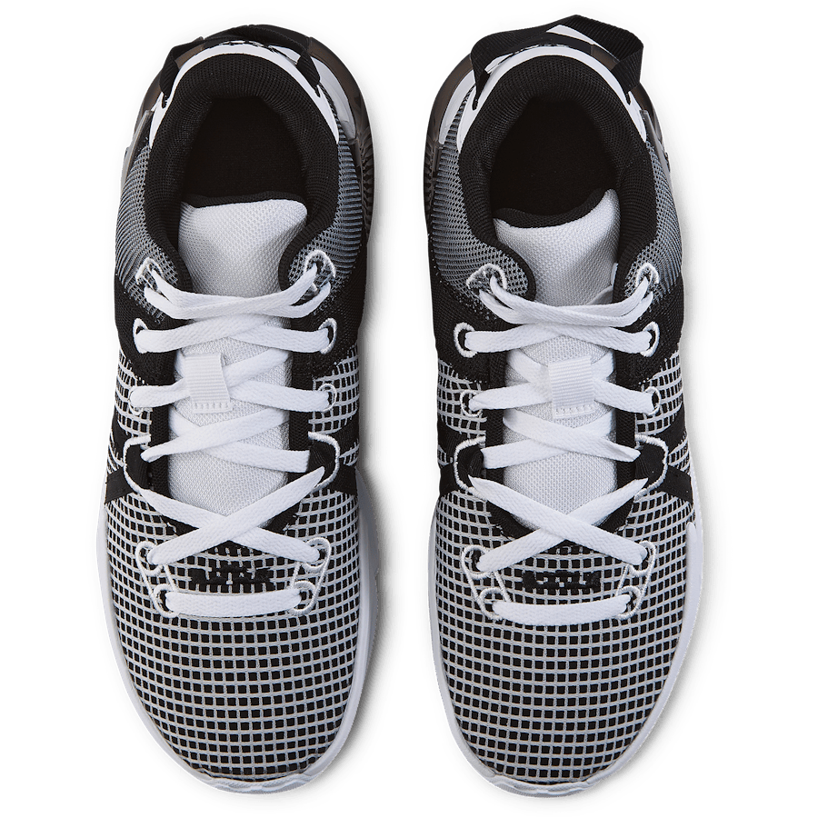 Lebron Witness VII
