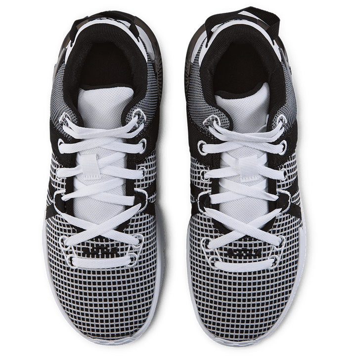Lebron Witness VII
