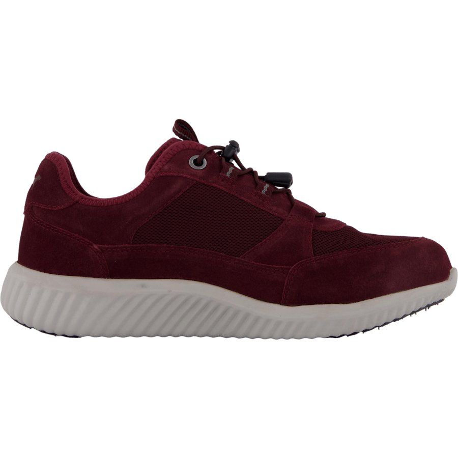 Credo Toronto Gtx Bordo