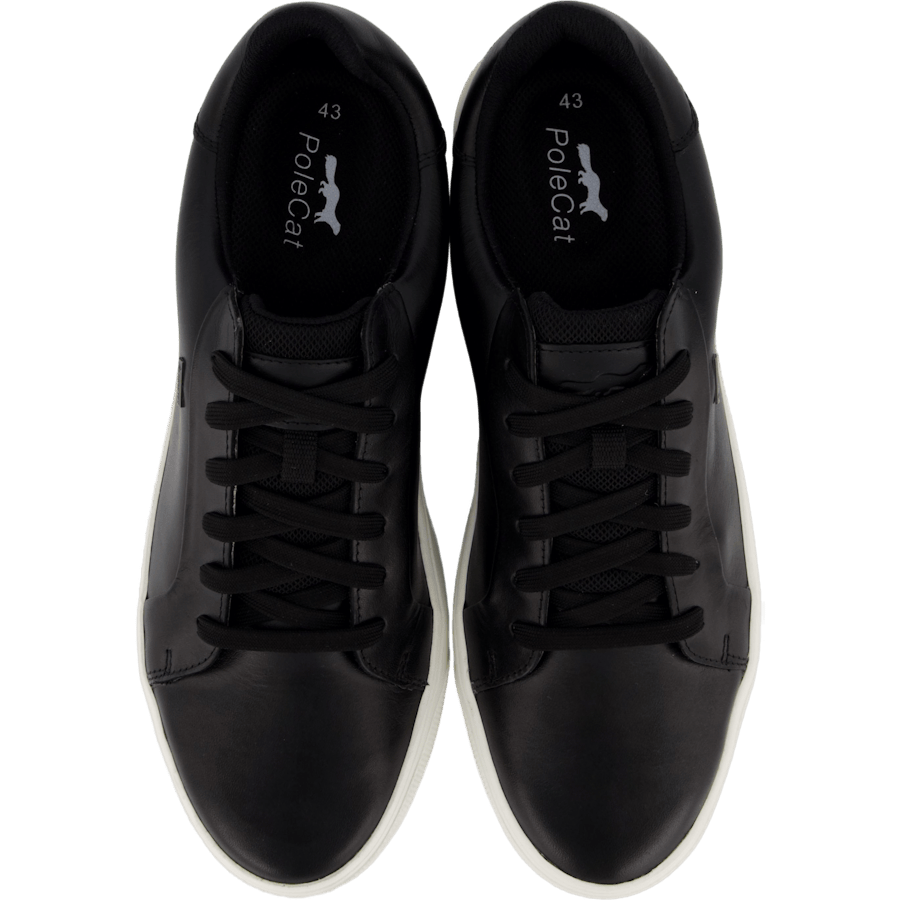 Rex Turin Gtx Black