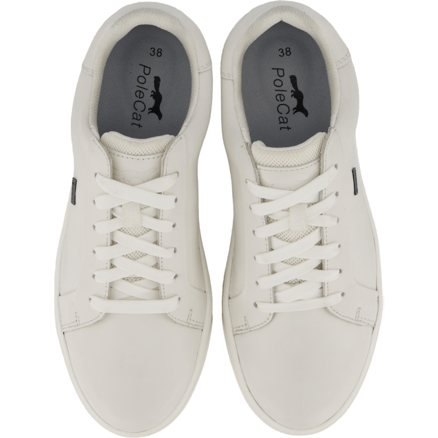 Rex Turin Gtx White