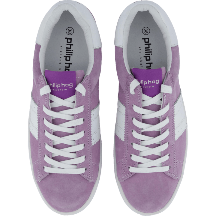 Stella Lilac